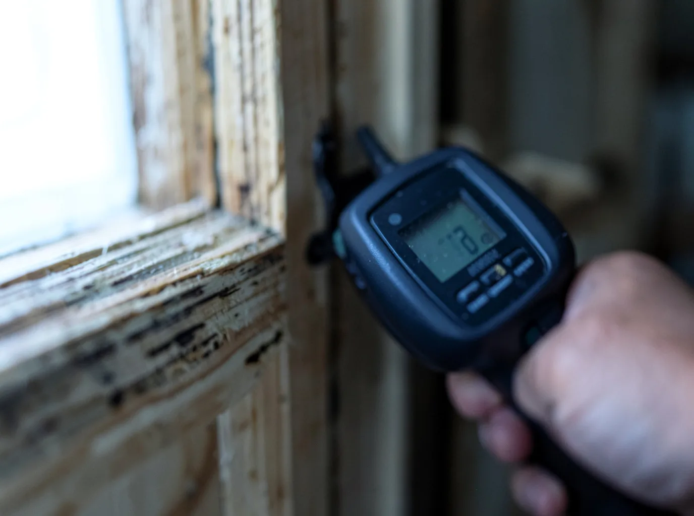 Moisture Inspection And Documentation in Colstrip, MT
